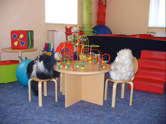 Sala Wczesnego Wspomagania SOSW w Skawinie