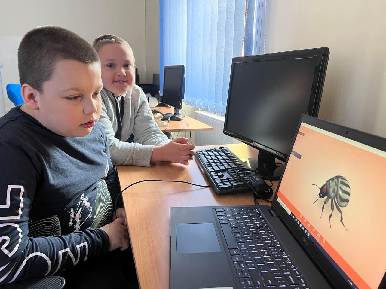 LABORATORIA CORTIN 2