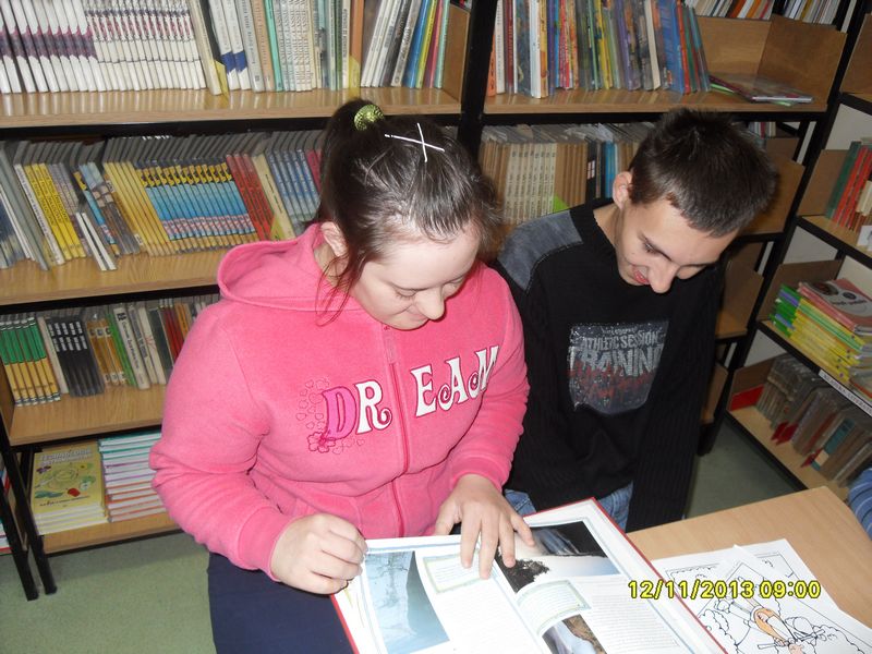 sdc11556-web